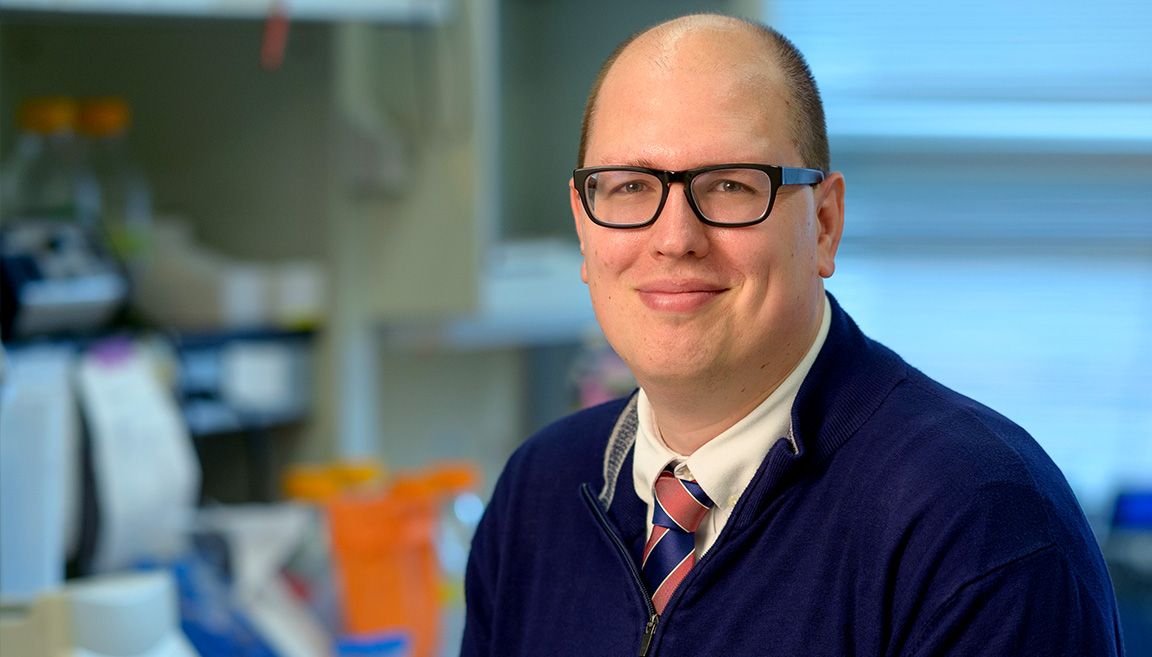 Designing CAR T cells 